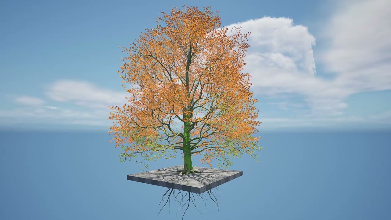 Detailed bigleaf maple trees with trunk moss 3D Model
