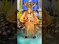 Ols Ourladyofsnows Ourladyofsnowbasilica Catholicstatus Panimaya Madha Whatsapp Status Video