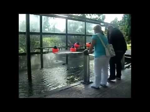 Outtakes - Fabideluxe & crizzn