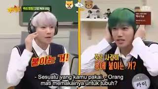 Download lagu (SUBINDO) Knowing Brother Exo Baekhyun-Kai mp3