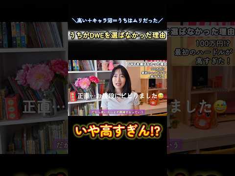 【DWE100万円】ディズニー好きでも我が家がやめた本当の理由