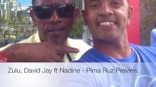 Zulu, David Jay ft Nadine Bellombre - Pima Ruz Preview