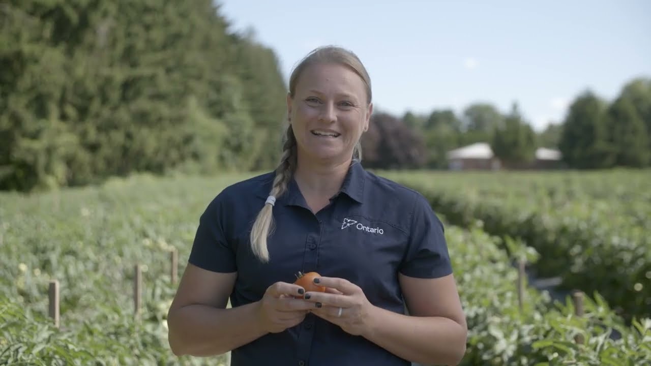 De l’idée aux répercussions : Spornado [Vidéodescription]