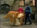 Classic Sesame Street Linda And Barkley Tap Dance 1991
