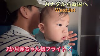 【7か月赤ちゃん初フライト】カナダ🇨🇦カルガリーから韓国🇰🇷仁川へ!WestJet航空直行便✈️韓国の祖父母孫に初対面🥰❤️一時帰国🩵