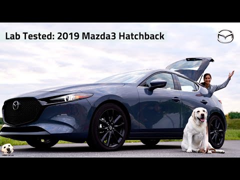 2019 Mazda3 Hatchback: Andie the Lab Review! Video