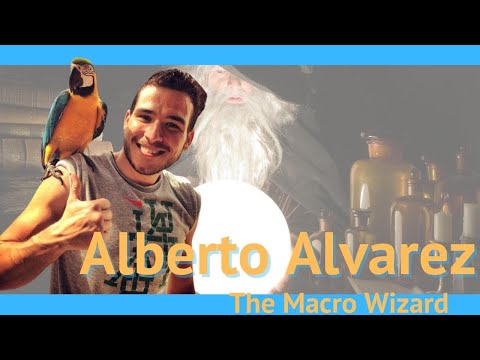 Entrevista a Alberto Álvarez (The MacroWizard): Implementando la dosis mínima efectiva en tu vida.