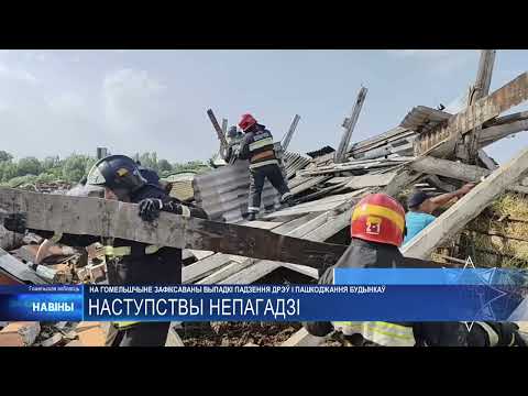 В Гомельской области спасли телят из-под завалов после урагана видео