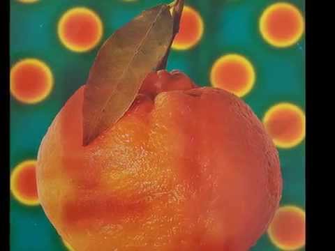 Tangerina video