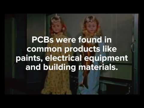 Monsanto's Poisonous History of PCB Contamination