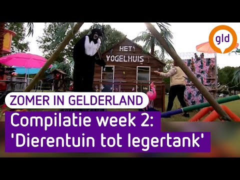 Zomer in Gelderland 16 augustus 2021 - Compilatie week 2