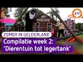 Zomer in Gelderland 16 augustus 2021 - Compilatie week 2