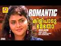 കിളിപാടുമേതോ Killi Paadum Etho Neelagiri Movie Malayalam Song Mammootty