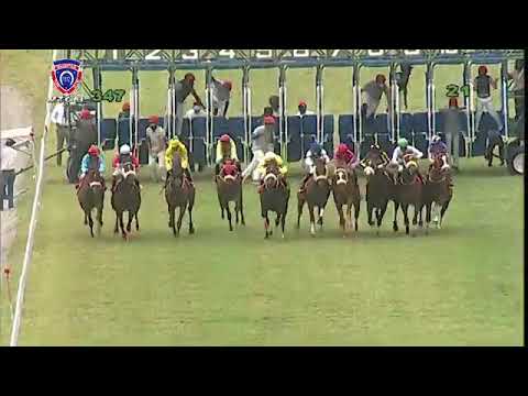 RM34 R7 | Grand Vision | S.Bussunt