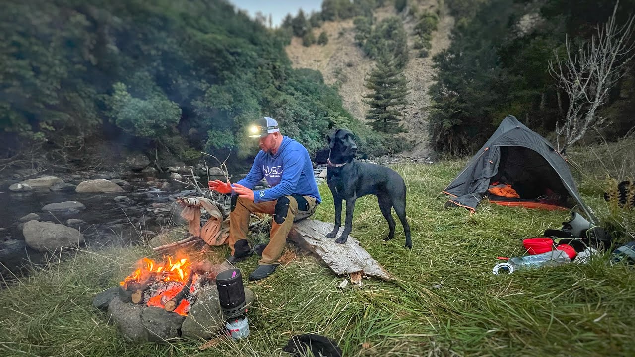 SOLO Tent Camping Beside Beautiful Trout Stream with My Dog!