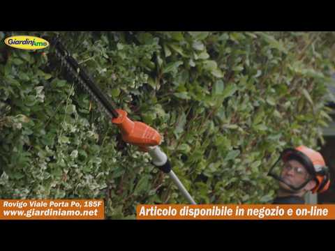 Miniatura Video