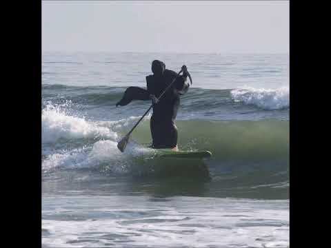 [free] midwest emo / indie rock / dream pop instrumental - "no lifeguard on duty"