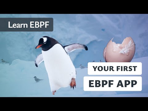 Building eBPF Programs - Linux Observability