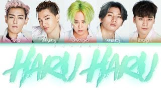 BIGBANG (빅뱅) - HARU HARU (하루하루) (Color Coded Lyrics Eng/Rom/Han)