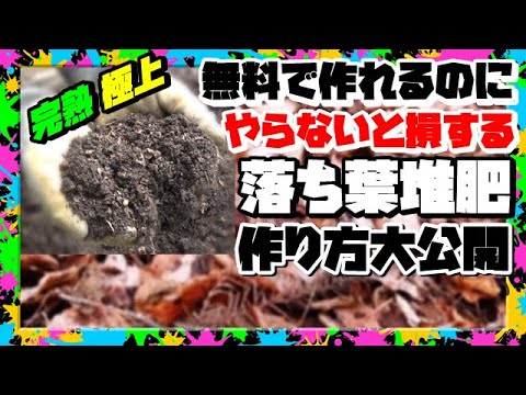 落ち葉をリサイクルするための5つのヒント！  庭園