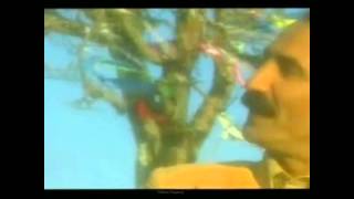 Seyfi Doğanay - Güle Güle Git ( Yıldırım Doğanay )