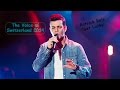 The Voice of Switzerland 2014 - Patrick Reis 'Get ...