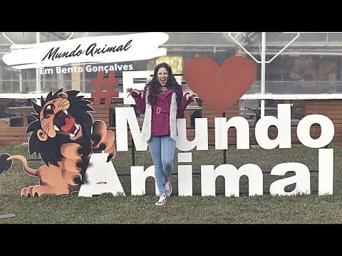 Top 10 lanchonetes Bento Gonçalves- Mundo Animal