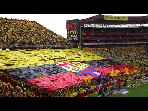 "RECIBIMIENTO CLASICO DEL ASTILLERO 2019" Barra: Sur Oscura &bull; Club: Barcelona Sporting Club