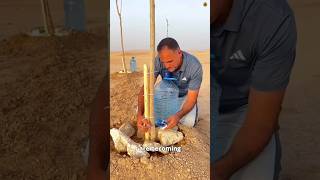 This Simple Bottle Trick is Greening the Desert  shorts