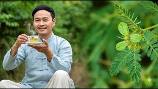 10 Công Dụng Tuyệt Vời Của Bạch Tật Lê – Sức Khỏe Tăng Vọt, Sinh Lý Khỏe Mạnh!