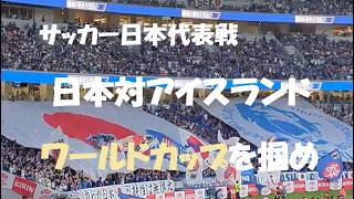 【サッカー日本代表】日本対アイスランド観戦記　World Cup直前の一戦