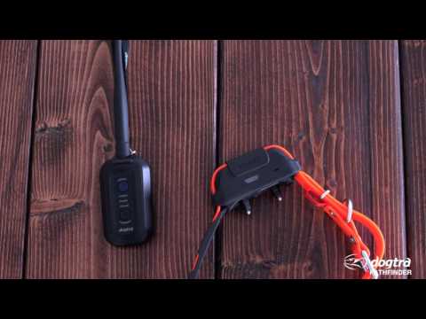 Dogtra Pathfinder Mini Additional Receiver 4 Miles - Orange Video