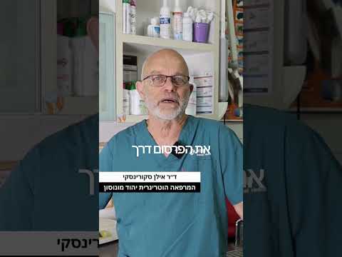 תמונה של נקסייט
