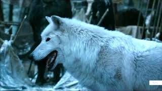 Jon and Ghost (Direwolf) -  Game of Thrones