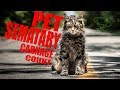 Pet Sematary 2019 Carnage Count