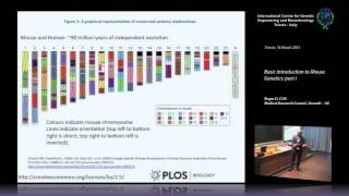 R. D. Cox - Basic Introduction to Mouse Genetics_ part I