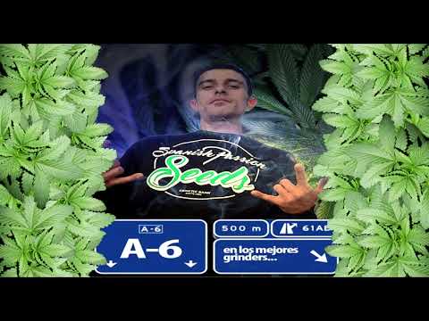 Matasvandals - Carlytos Vela  -  Ni nada ni nadie (B.S.O.  A6 La serie)