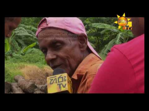 Hiru TV