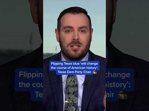 Flipping Texas blue 'will change the course of American history': Texas Dem Party Chair
