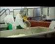 East Devon Food 4 Thought Part 2a Food On Our Doorstep
