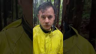 There’s something alive out here…#scarywoods #rainyday #shelter