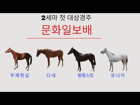 9/14-일요-8경주-2세마 대상경주 '문화일보배' 분석(무제한급, 디네, 원평스킷, 유니카)