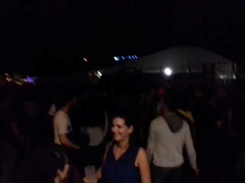 Rootikal Warriah the roarin' Lyon