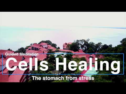 CELLS HEALING THE STOMACH - Guided Meditation - Healing the stomach from stress and pain