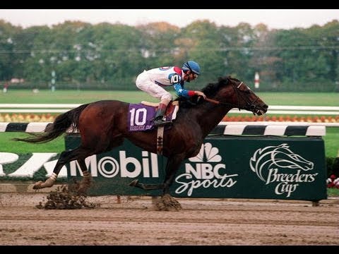 Cigar - 1995 Breeders' Cup Classic + Post Race & Interviews