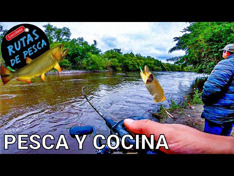 RIOS CRECIDOS 😱🐟🎣 Río Chico, Gastona, Balderrama, Lules, Seco y Colorado con MUCHA agua. INFO ACTUAL