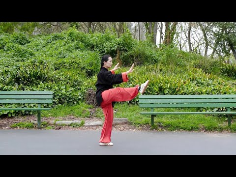 Yang-Style Tai Chi Traditional Long Form – Full Front View Demonstration | 楊式太極拳傳統85式 全套正面演練