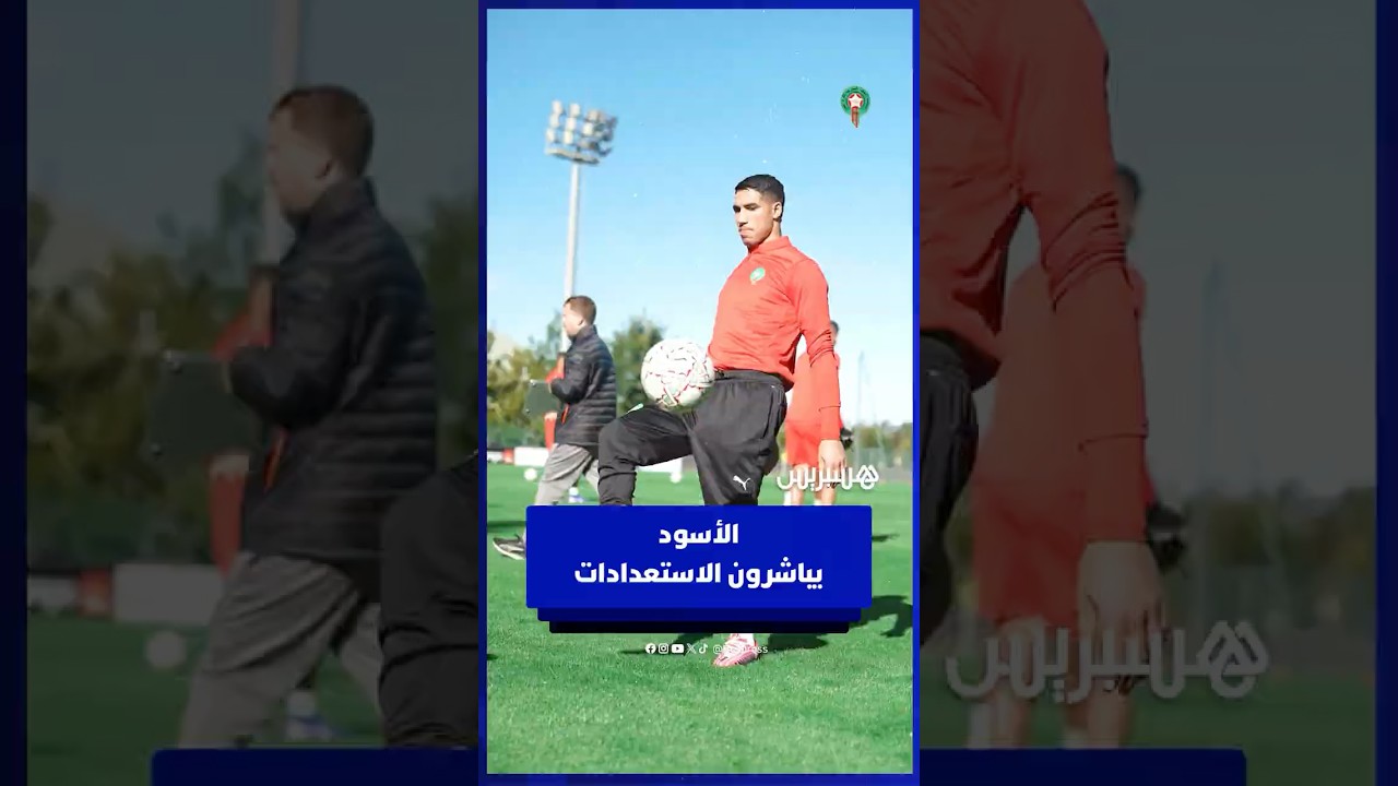 الأسود يباشرون الاستعدادات! thumbnail