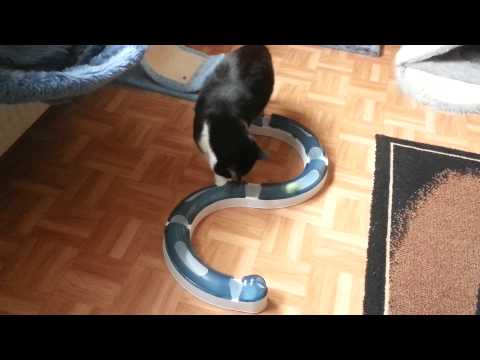 Neues Spielzeug teil 4