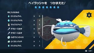 【ポケモンSV】最強ヘイラッシャレイドをタルップルでソロ攻略！（20240728）